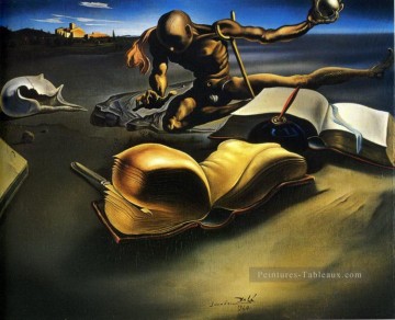 Book Transforming Itself into a Nude Woman Salvador Dali Oil Paintings